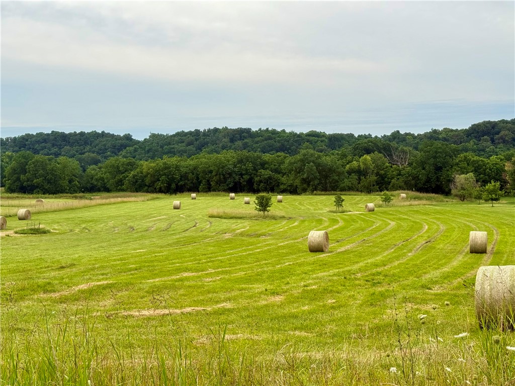 DISCOVER A UNIQUE OPPORTUNITY to own a remarkable 7.6-acre tract offering privacy, natural beauty, and accessibility in one of Northwest Arkansas' most desirable growth corridors. Nestled in a peaceful valley along Osage Creek Road, the property features improved pasture, partial fencing, scenic views, and crystal-clear creek frontage. Whether you're seeking a private homesite, recreational retreat, investment opportunity, or a place to bring your vision to life, this versatile property offers outstanding potential. Enjoy peaceful surroundings, stunning sunsets, and direct creek access all in a convenient location. Situated 2.5 miles from the Highway 412 expansion and Highway 612 bypass, the property provides easy access to Fayetteville, Springdale, Rogers, Bentonville, and Siloam Springs while remaining outside Tontitown city limits. Build-ready acreage with creek frontage, privacy, and regional access is becoming increasingly difficult to find in Northwest Arkansas. CLICK "VIRTUAL TOUR" LINK FOR VIDEOS OF TRACT!