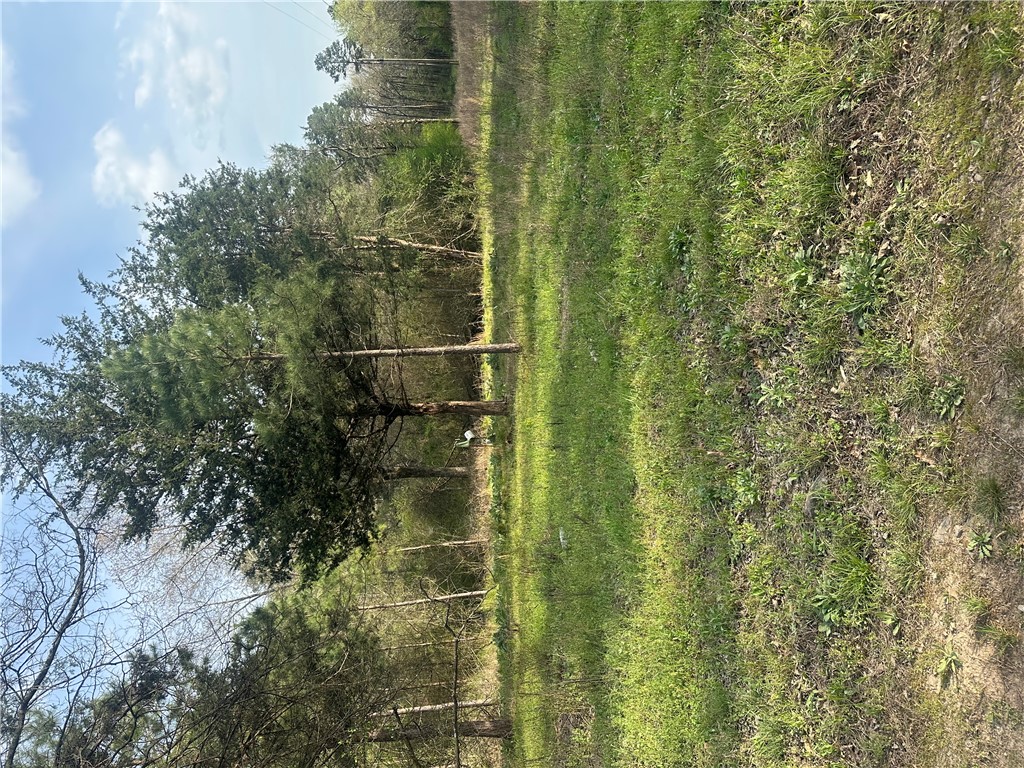 30 Acres Near Horsehead Recreation Area- Endless Possibilities!! The Perfect Blend of natural beauty and opportunity with this 30 Acre property located just minutes from the popular Horsehead Recreational Area. Whether you are dreaming of a private retreat, hunting getaway, or future homesite, this land offers incredible potential.