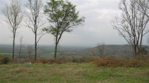 Beautiful Land with A MILLION DOLLAR VIEW! Place your dream home atop this ozark foothills mountain and enjoy everyday! All utilities available. MLS 113816