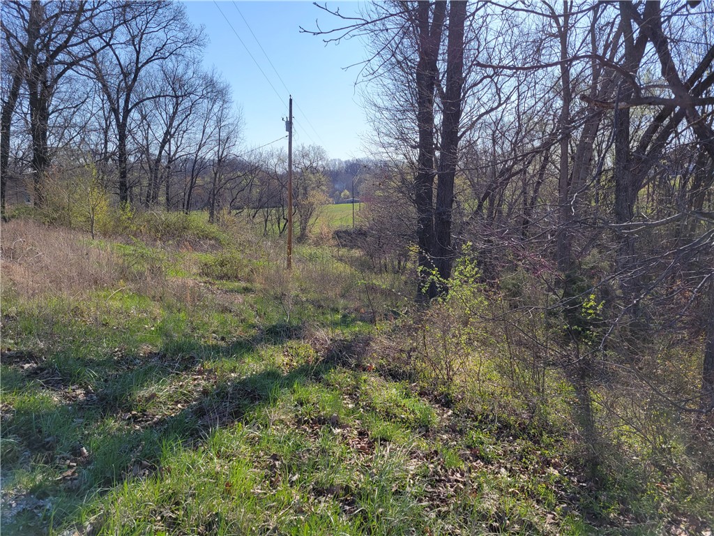 Great location near the heart of Pea Ridge. Excellent building lot in Pea Ridge with all the utilities at the street except gas! Plenty of shade with mature trees. Two parcels to make 0.64 acres. The back portion is on the floodplain, but the downward slope leaves ideal building spots.