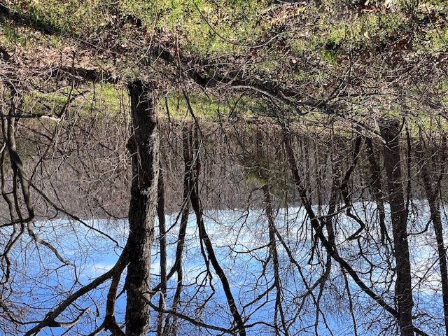 Down sloping lot that is buildable.  Unit used to allow mobile homes, but no longer does.  Will have to build a minimum 1000 sq ft home.  With some clearing you would have a nice valley view off the back of the lot.  Call today for a showing.