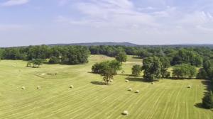 None - Land