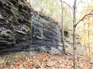 A thousand pictures couldn't capture this magnigicent property.  Akins Creek runs along the  front  and the  bluffs run behind you.  Electric is on the propertyThere are four living quarters that need repair work but could make a wonderful retreat for family and friends.  Off the grid but 2.5 miles from the paved highway.  $39,900