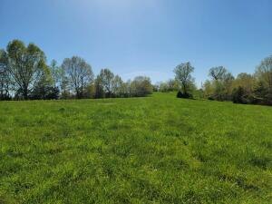 Beautiful hay field with old barn.  County Rd Frontage.  Close to Buffalo River.