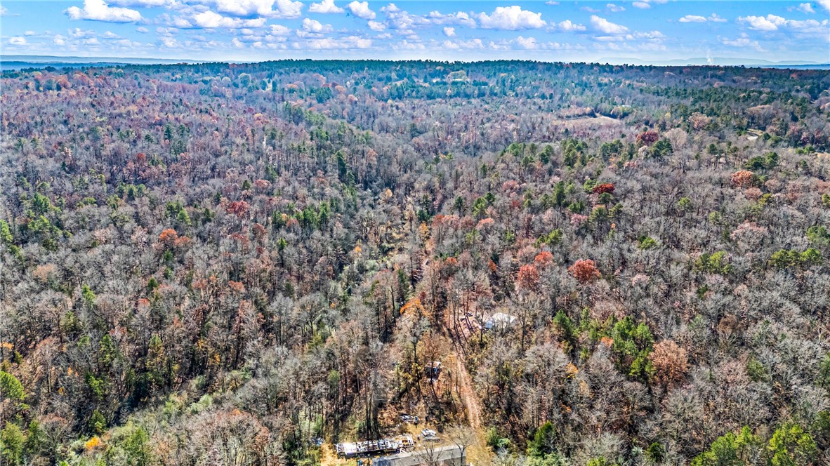 Discover 4.7 private acres of rural beauty just outside Dover, Arkansas, a perfect canvas for your vision of country living. Around 3.7 acres are wooded timberland, offering privacy, shade, and the peaceful ambiance of mature forest; the remaining acreage is cleared and ready for your ideas. The property includes an older shop building equipped with power and water, ideal for a workshop, storage, or a base while you plan your dream build. An existing (but uninspected) septic tank is on site. With no restrictions, you’re free to place a mobile home, a tiny home, build a house, or simply keep this as your private retreat. The dirt driveway connects to a paved road, ensuring easy access while still enjoying seclusion. This land offers a rare opportunity: a quiet, rural lifestyle in Dover, close enough to essentials, far enough for peace and privacy, ready for your next chapter.