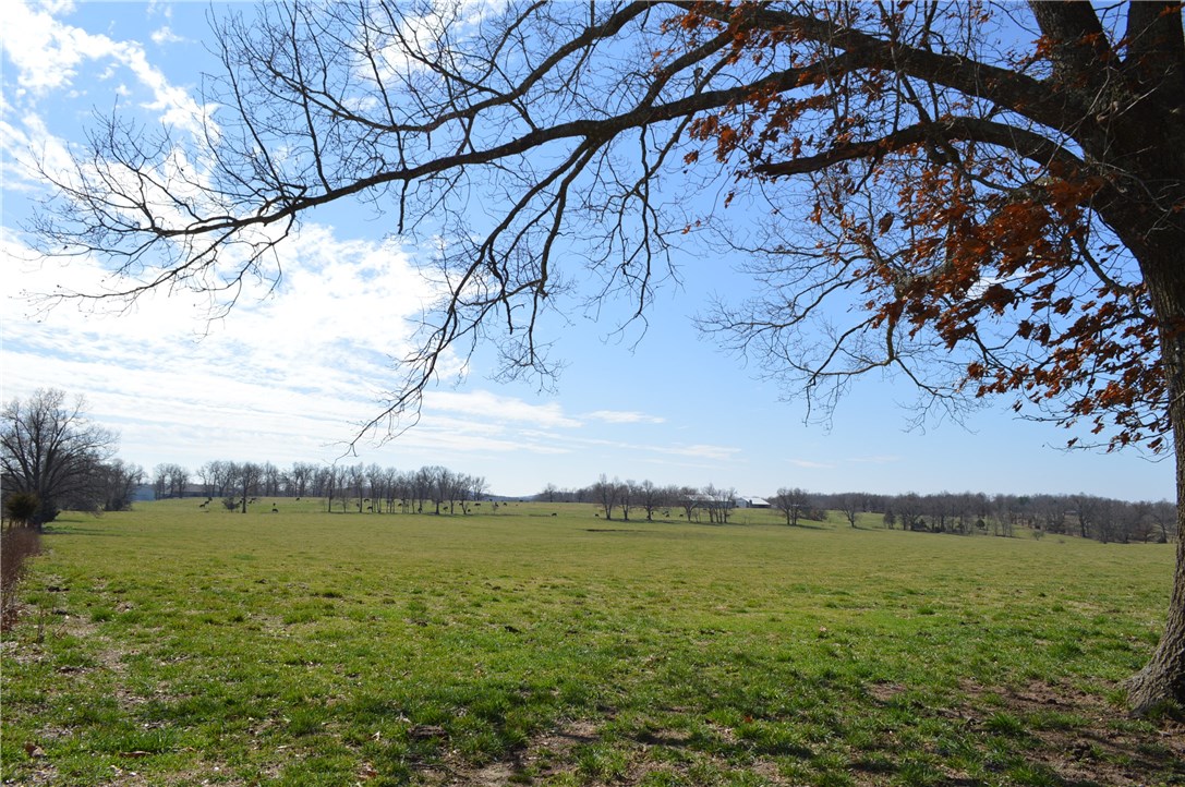 Rural - Land
