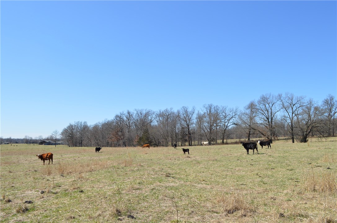Rural - Land
