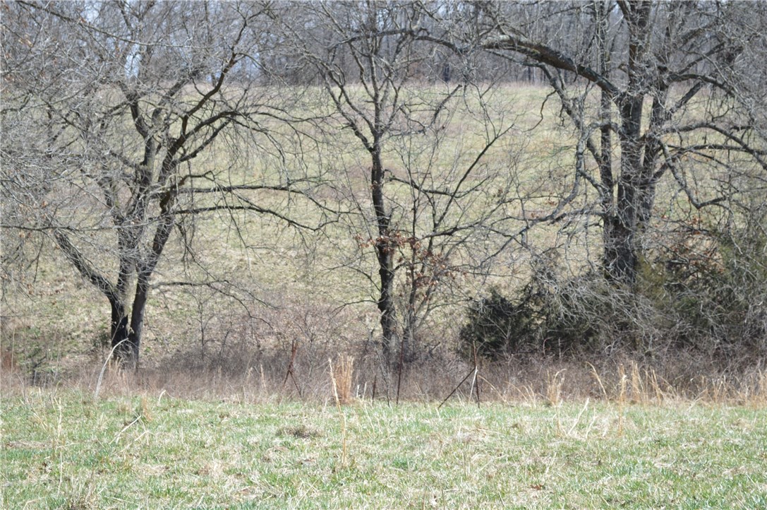 Rural - Land