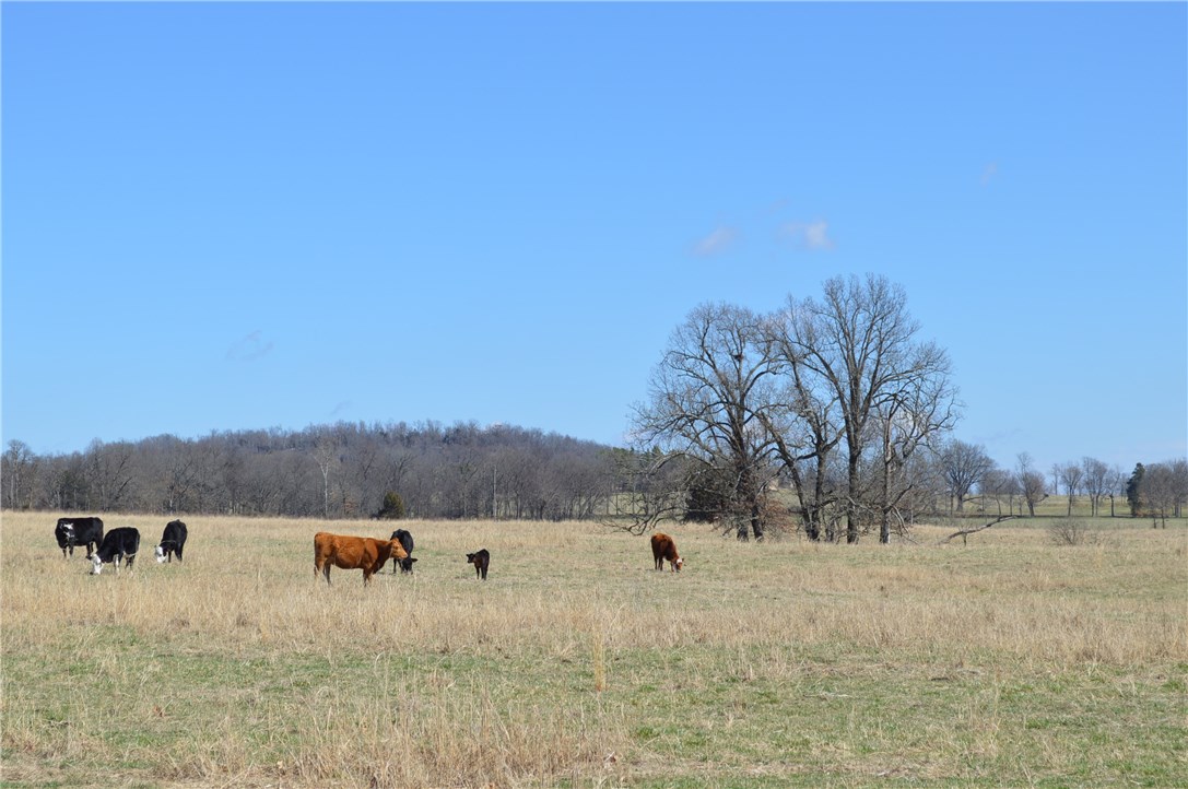Rural - Land