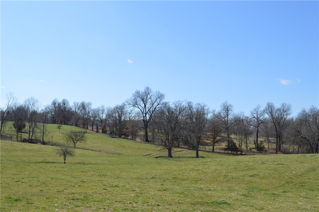 Rural - Land