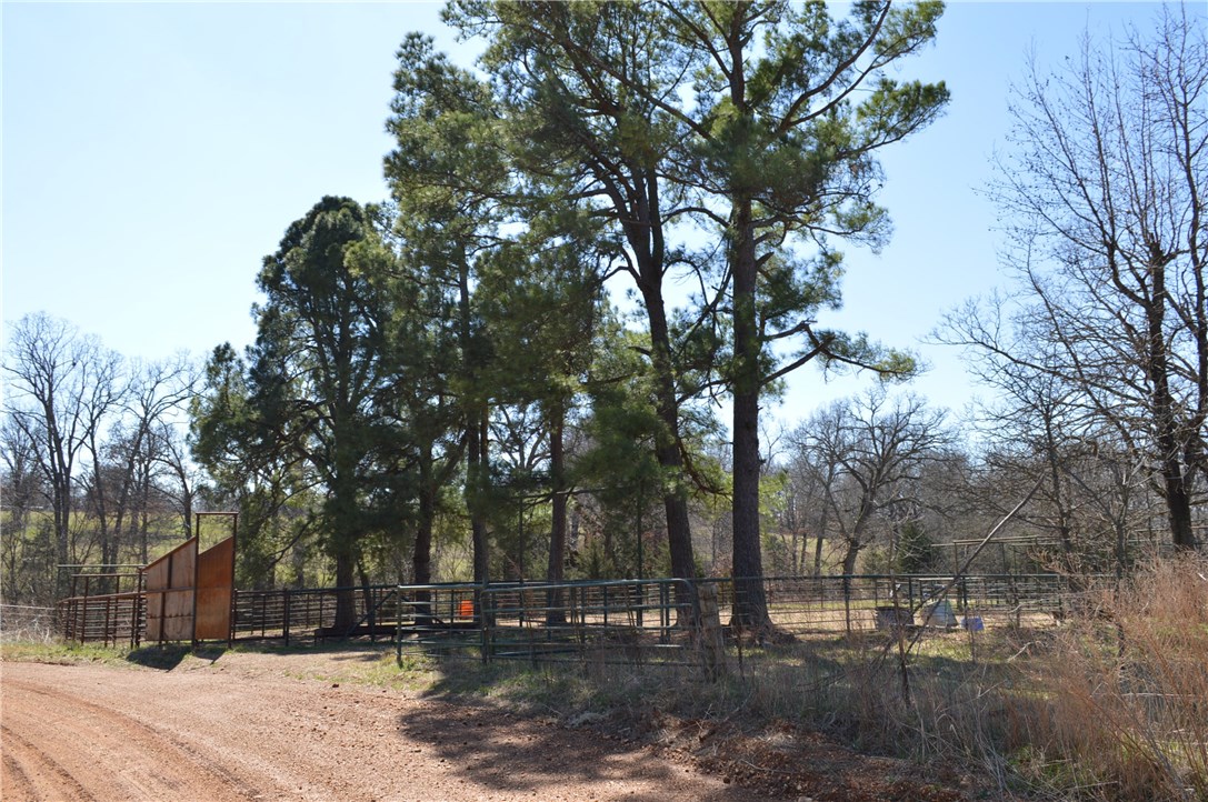 Rural - Land