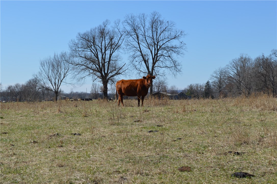 Rural - Land