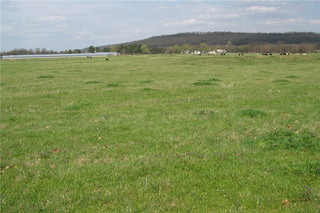 . - Land