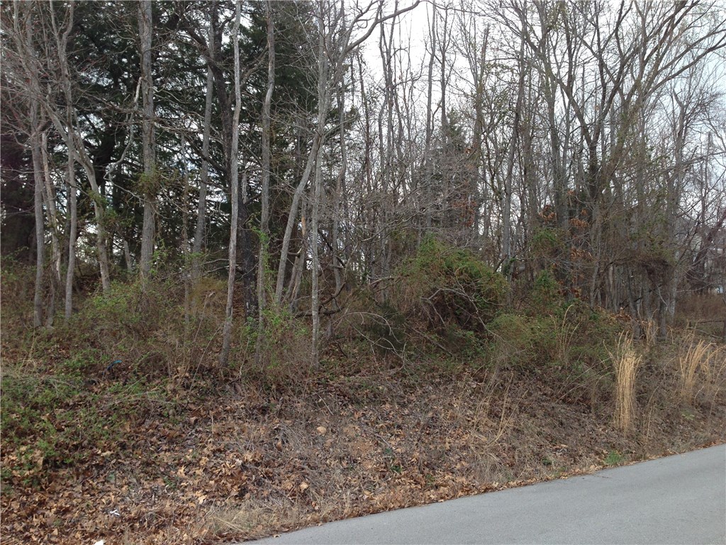 Bella Vista lot with sewer. Rectangular lot with gentle slop. Quiet neighborhood, perfect for building new home. Close to Dogwood Hills & Brittany Golf Course, Metfield workout center, Metfield Park with seasonal pool.