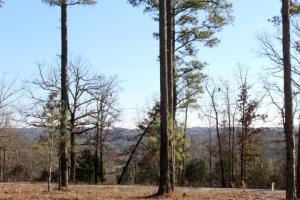 Other Subdivision - Residential