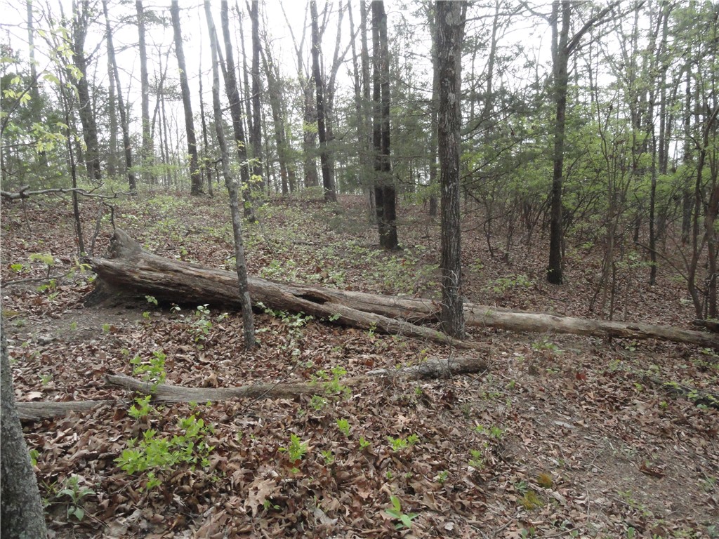 Hunter Mtn Estates - Land