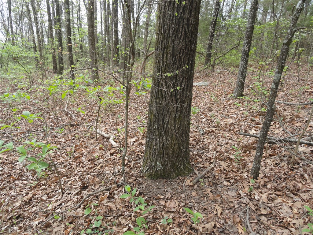 Hunter Mtn Estates - Land