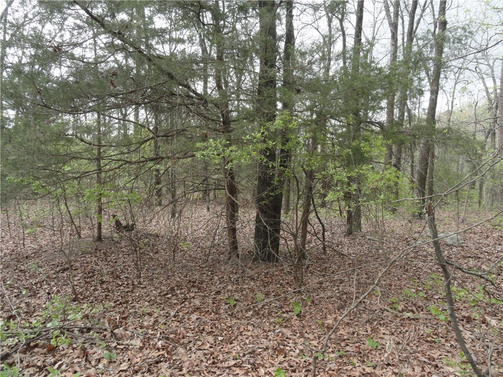 Hunter Mtn Estates - Land