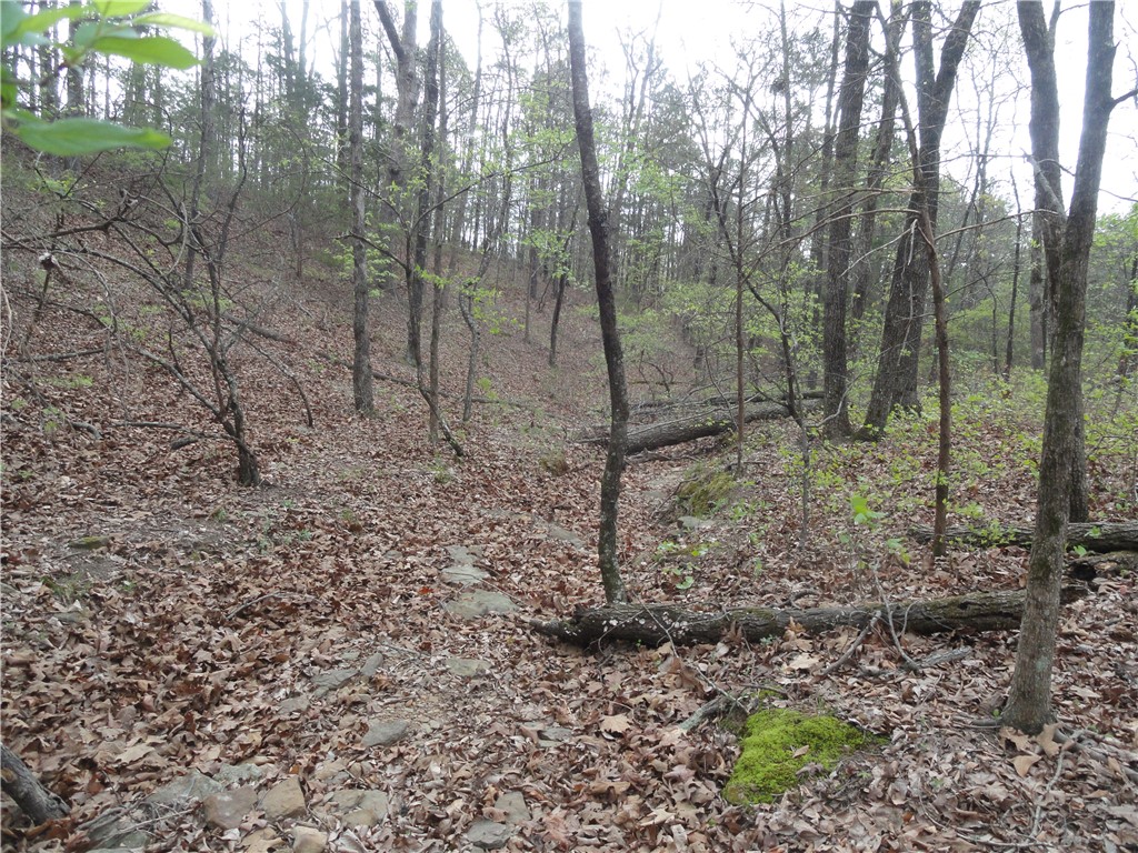 Hunter Mtn Estates - Land