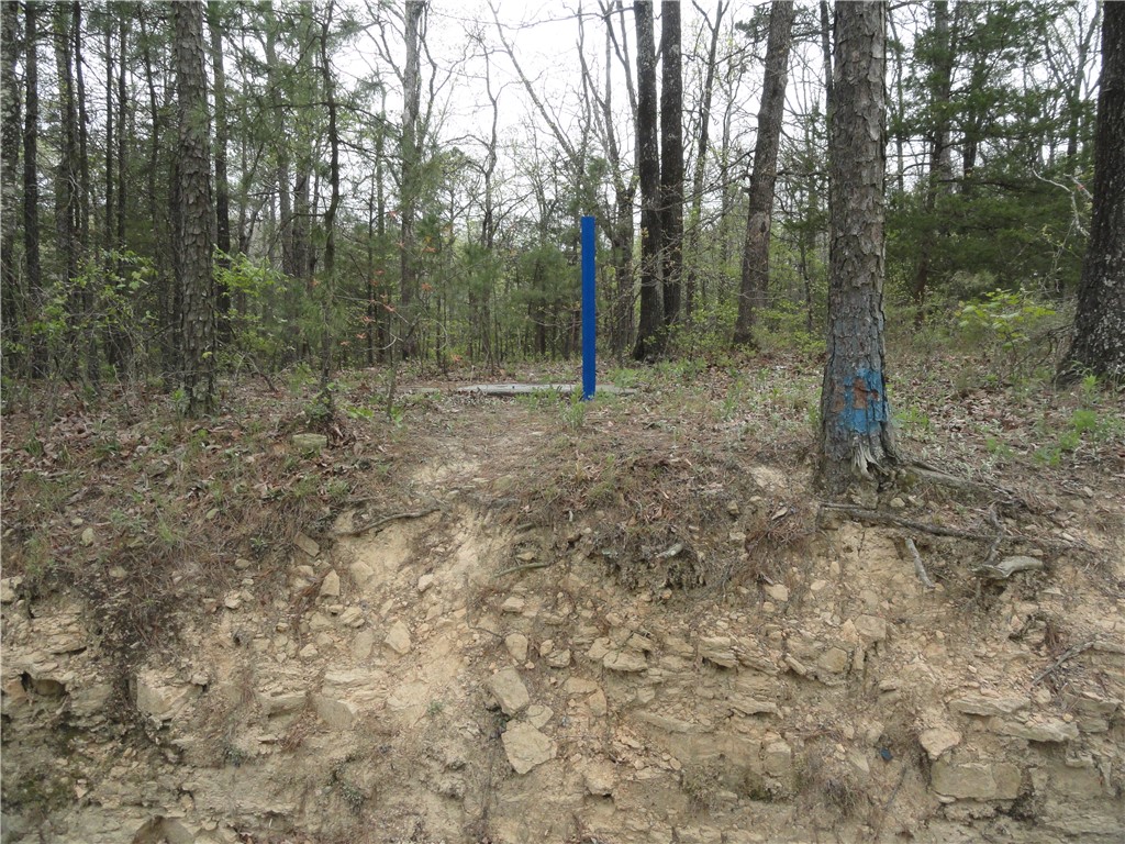 Hunter Mtn Estates - Land