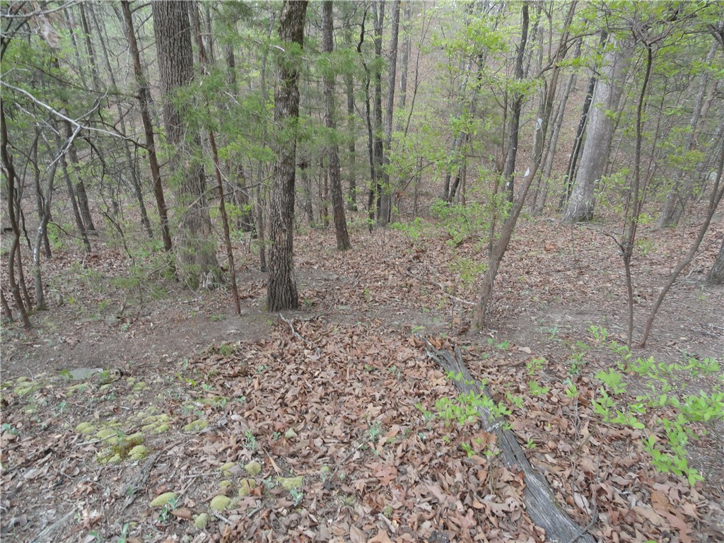 Hunter Mtn Estates - Land