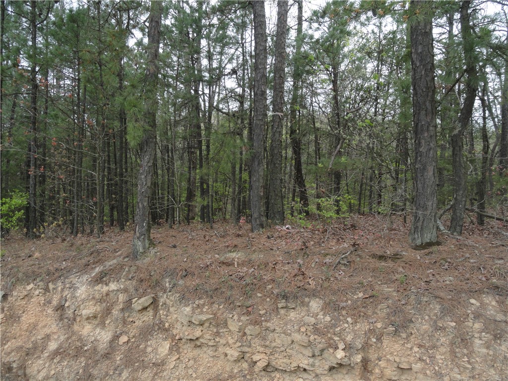 Hunter Mtn Estates - Land