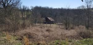 Pasture land with access to pavement!!! Only 15 minutes out of town. Great home site. Rural water available. Nice pond!