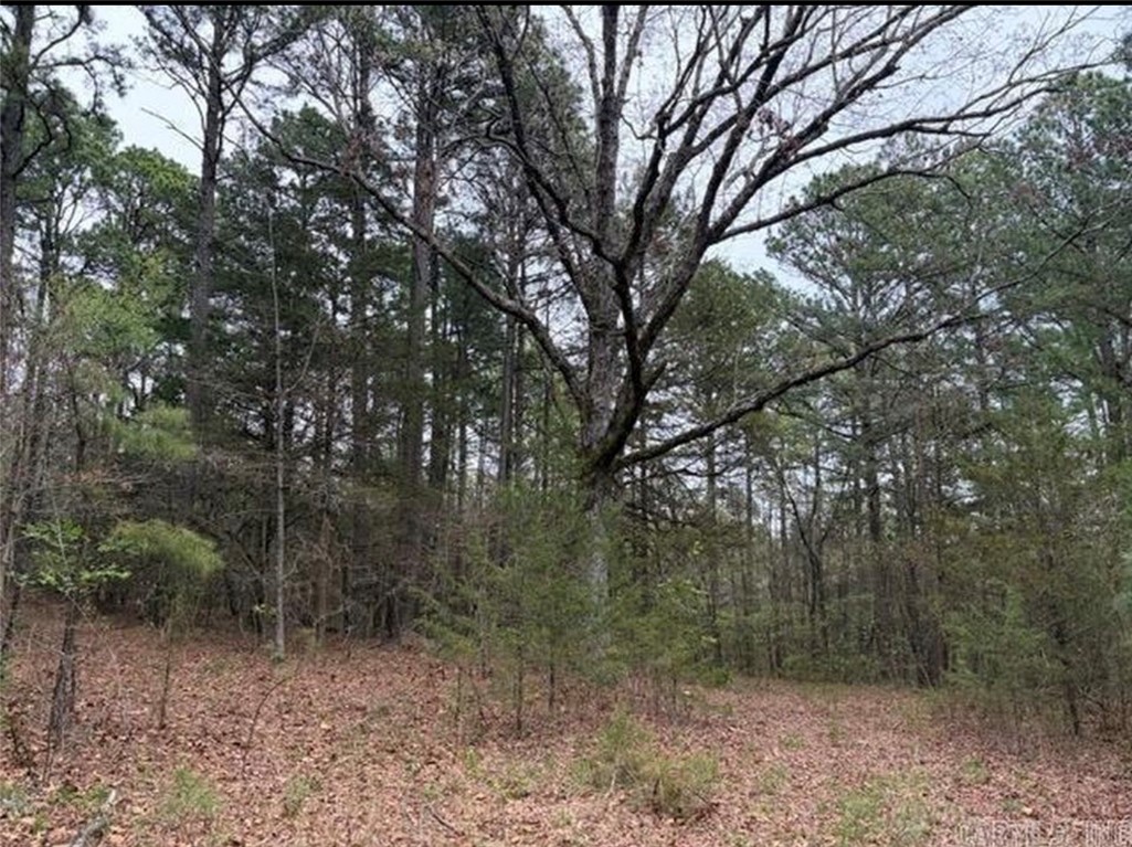 Discover 40± acres in Johnson County, Arkansas, with the highly sought-after advantage of direct frontage on the Ozark National Forest. This exceptional property offers seamless access to thousands of acres of public land, making it a dream destination for hunters, hikers, and outdoor enthusiasts alike.

The land is predominantly wooded with gently rolling terrain, providing excellent habitat for deer, turkey, and a variety of native wildlife. Whether you're searching for a private hunting retreat, a weekend escape, or the perfect location to build a secluded cabin or forever home, this property offers endless possibilities.

Surrounded by the scenic beauty of the Arkansas Ozarks, you'll enjoy unmatched privacy and tranquility while remaining just a short drive from Clarksville and other nearby communities. Properties with direct National Forest frontage are increasingly rare, making this an outstanding recreational property and a valuable long-term investment.