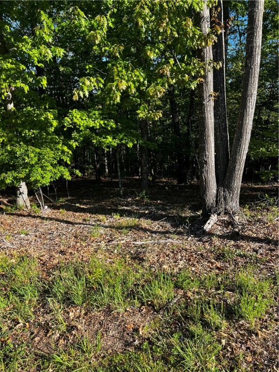 What a great location!  Close to trails, trails and more trails. Buildable lot just waiting for you. This is paradise.