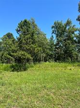 BUILDING LOT. You can build your dream home in a very well established neighborhood with lots of great neighbors.  The street is a dead end street so traffic is very light and restrictions and covenants are in place. Come be a part of this beautiful community.