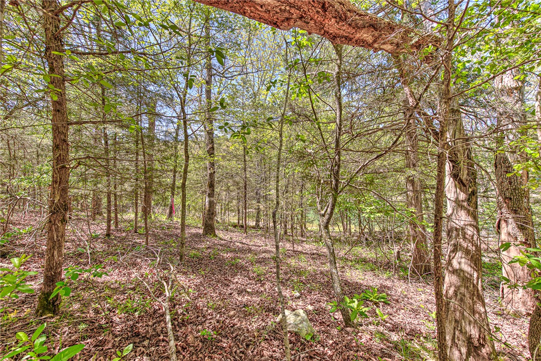 TBD - Land