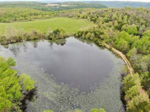 Nice wooded acreage with pasture and a 2 acre pond. Road and utility easement. Property has been logged.