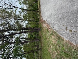 Twin Lakes Estate Rogers - Land
