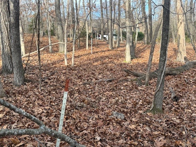 Woodstone Sub - Land