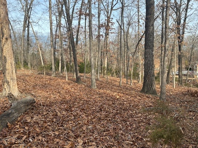 Woodstone Sub - Land