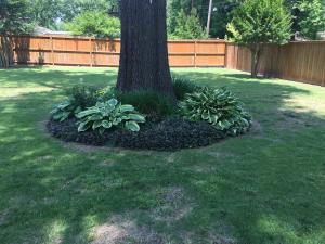 Colonial Heights - Residential