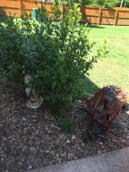 Colonial Heights - Residential