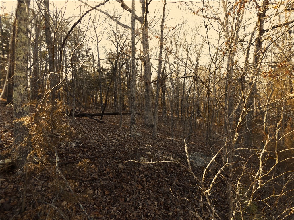 Choctaw First - Land
