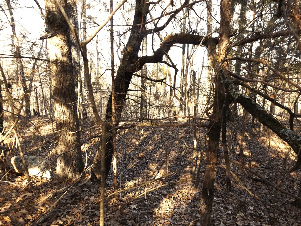 Choctaw First - Land