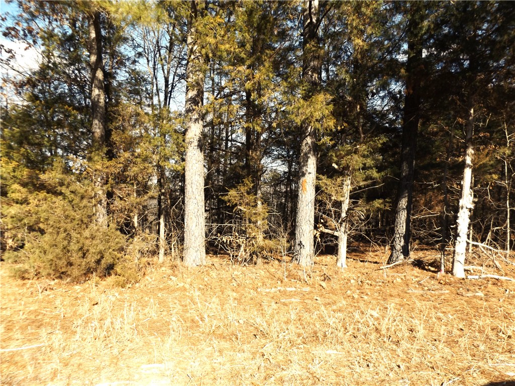 Choctaw First - Land