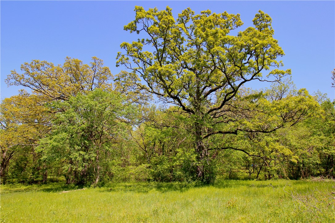 Berryville Outlots - Land