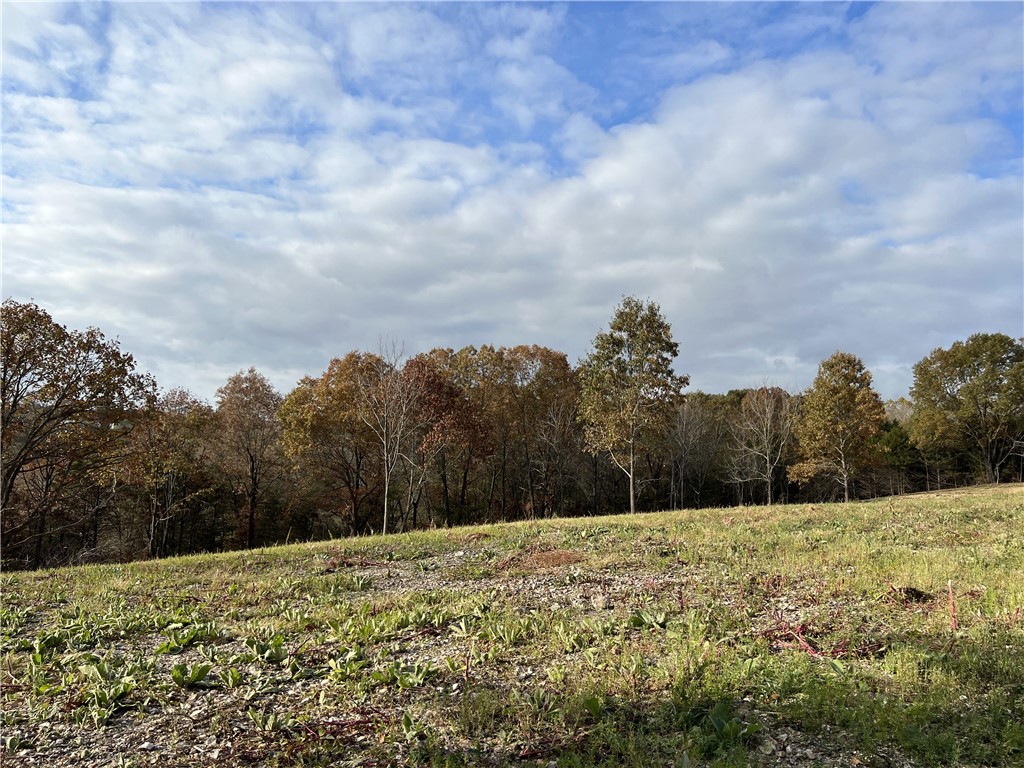 Great location between Harrison and Branson, MO with awesome development potential. This 43.91 Acres M/L has rural water, septic, electric, phone, 3 storage buildings, storm shelter, fruit trees, and so much more to offer. Would be a great place to build a private home close to town. The land is mostly wooded with several building sites, nice views, great hunting, and small seasonal creek. This is a must see.
