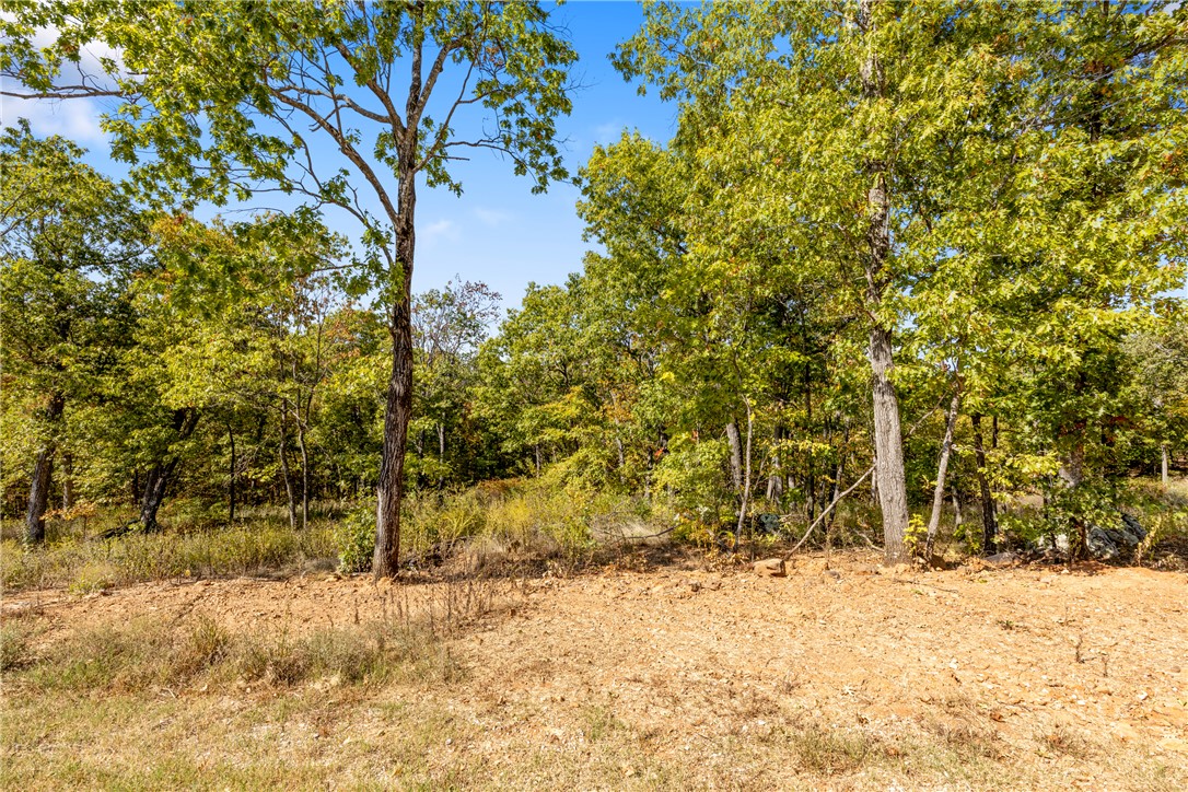 Round Mountain Estates - Land