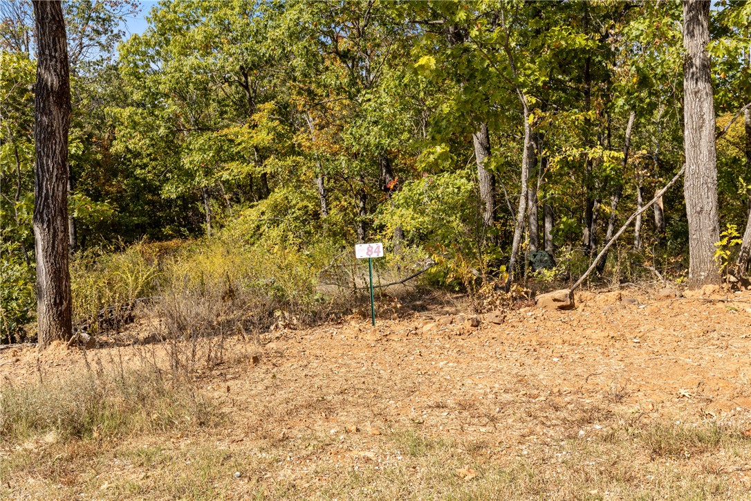 Round Mountain Estates - Land