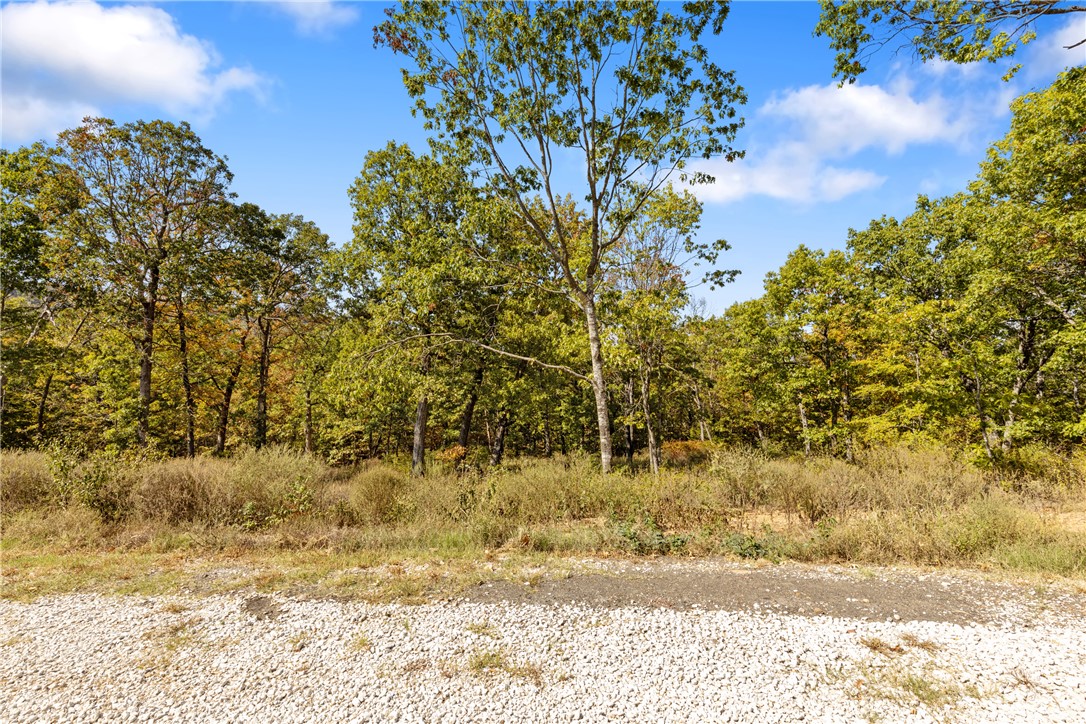 Round Mountain Estates - Land