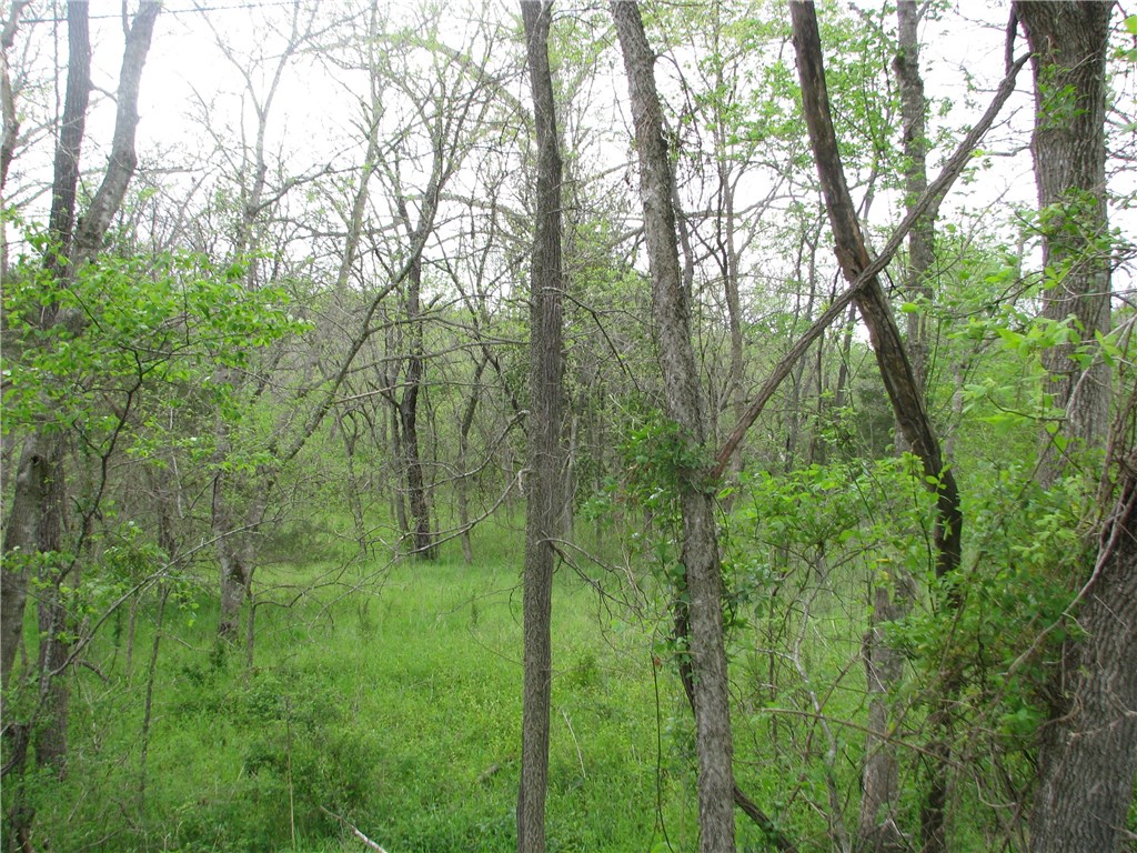 - - Land