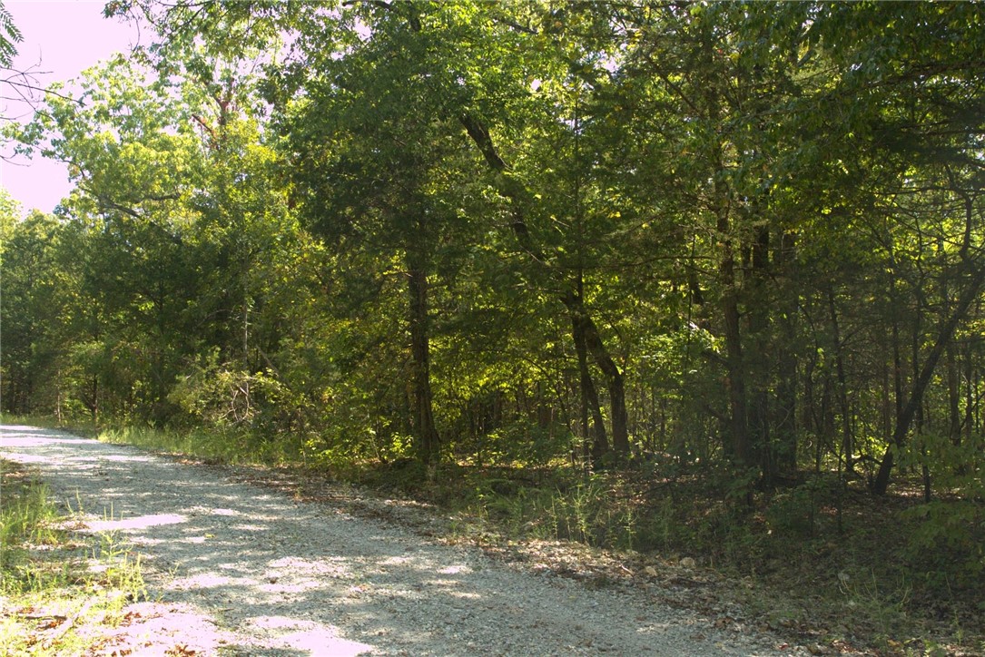 Pioneer Park - Land