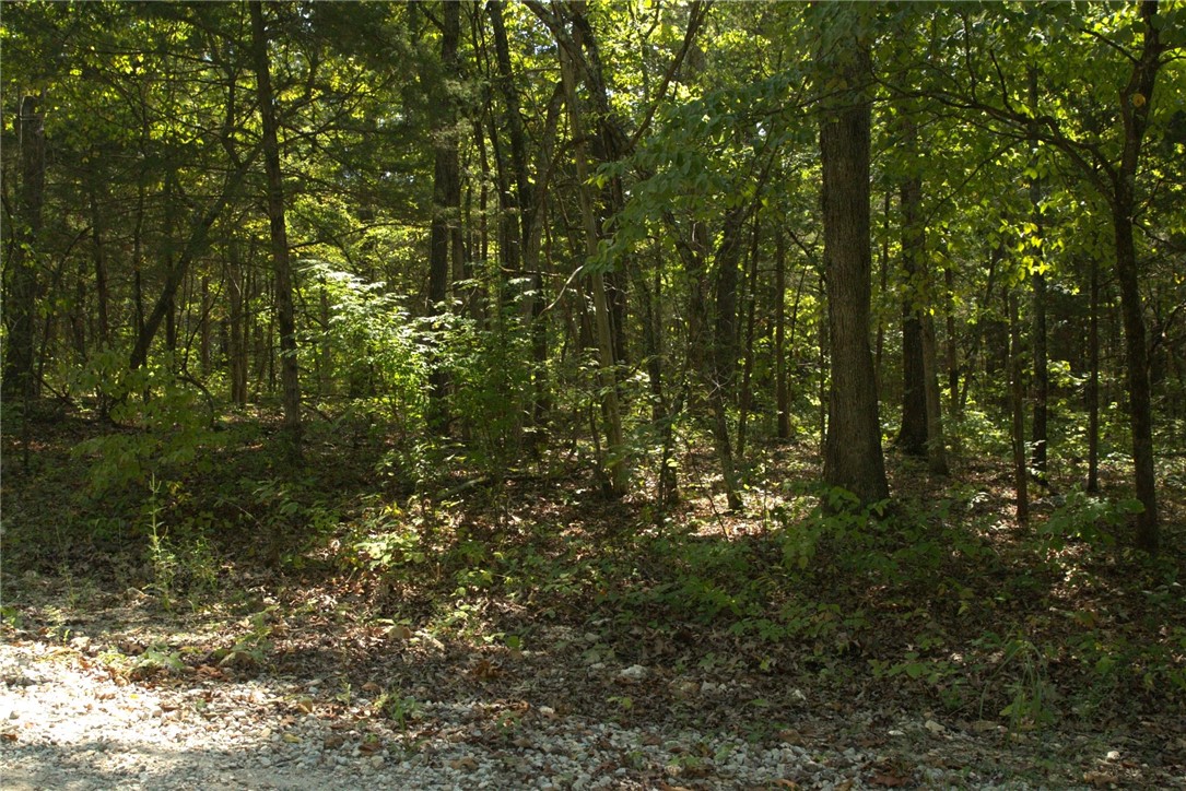 Pioneer Park - Land