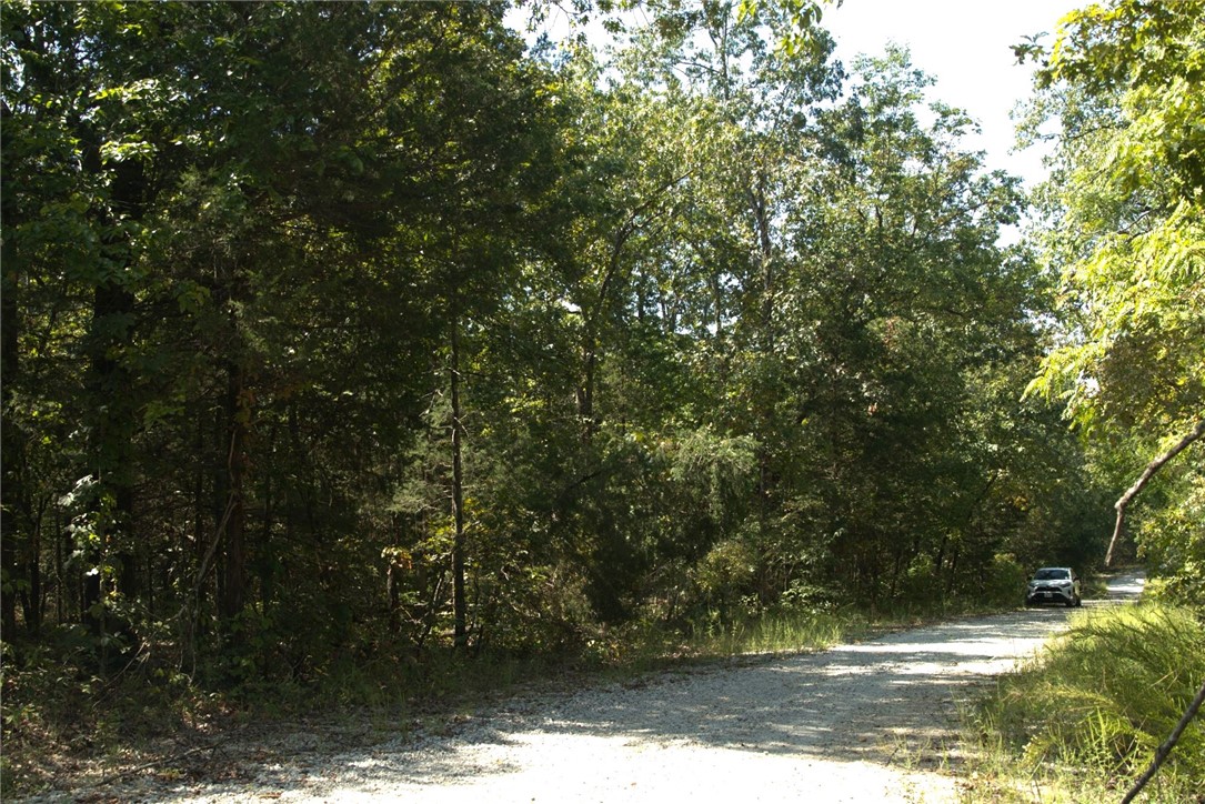 Pioneer Park - Land