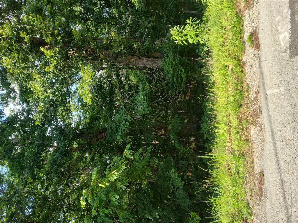 Annsborough Sub Bvv - Land